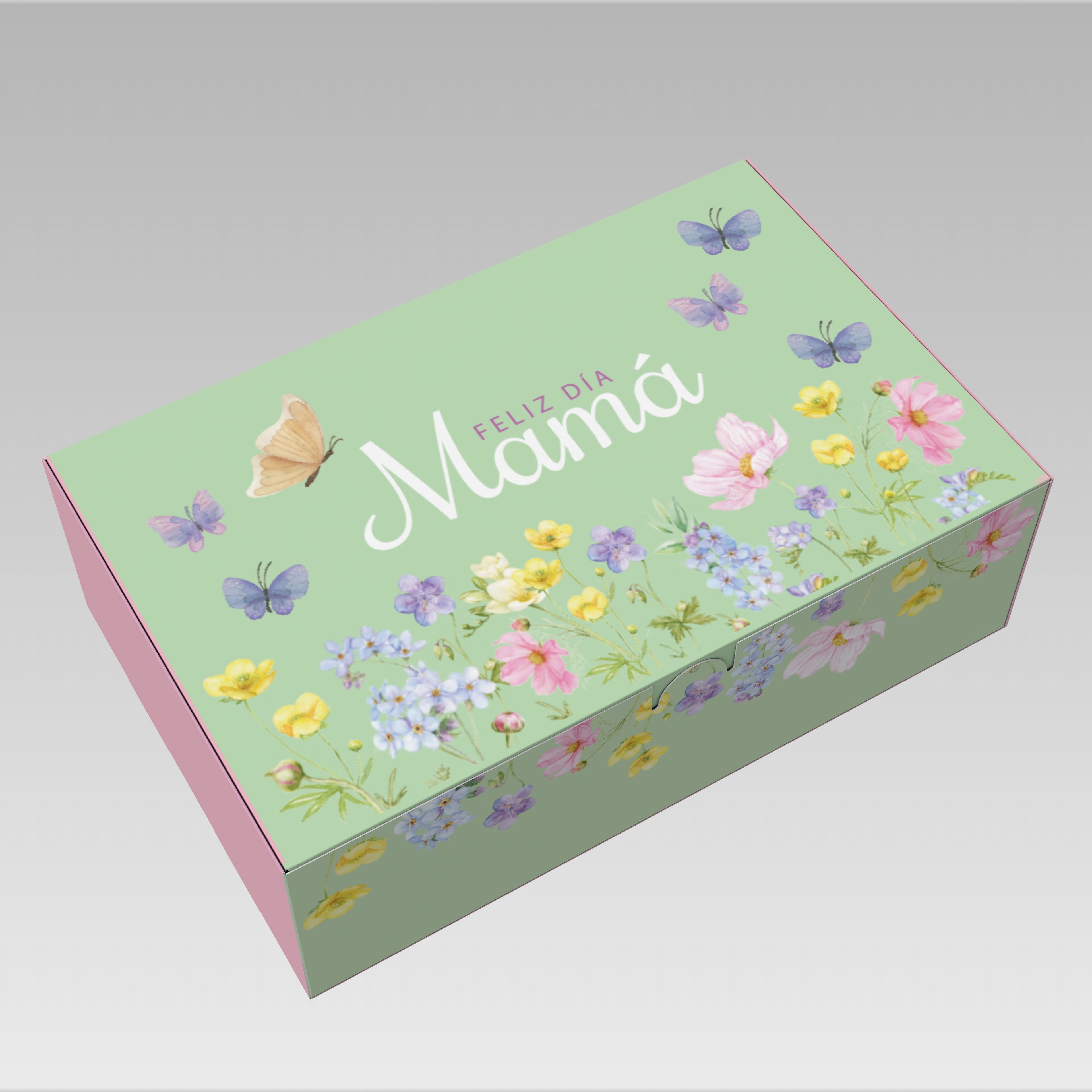 PREVENTA 3 Caja Mila mamá 30x19x9 cm 10 o 25 Unidades