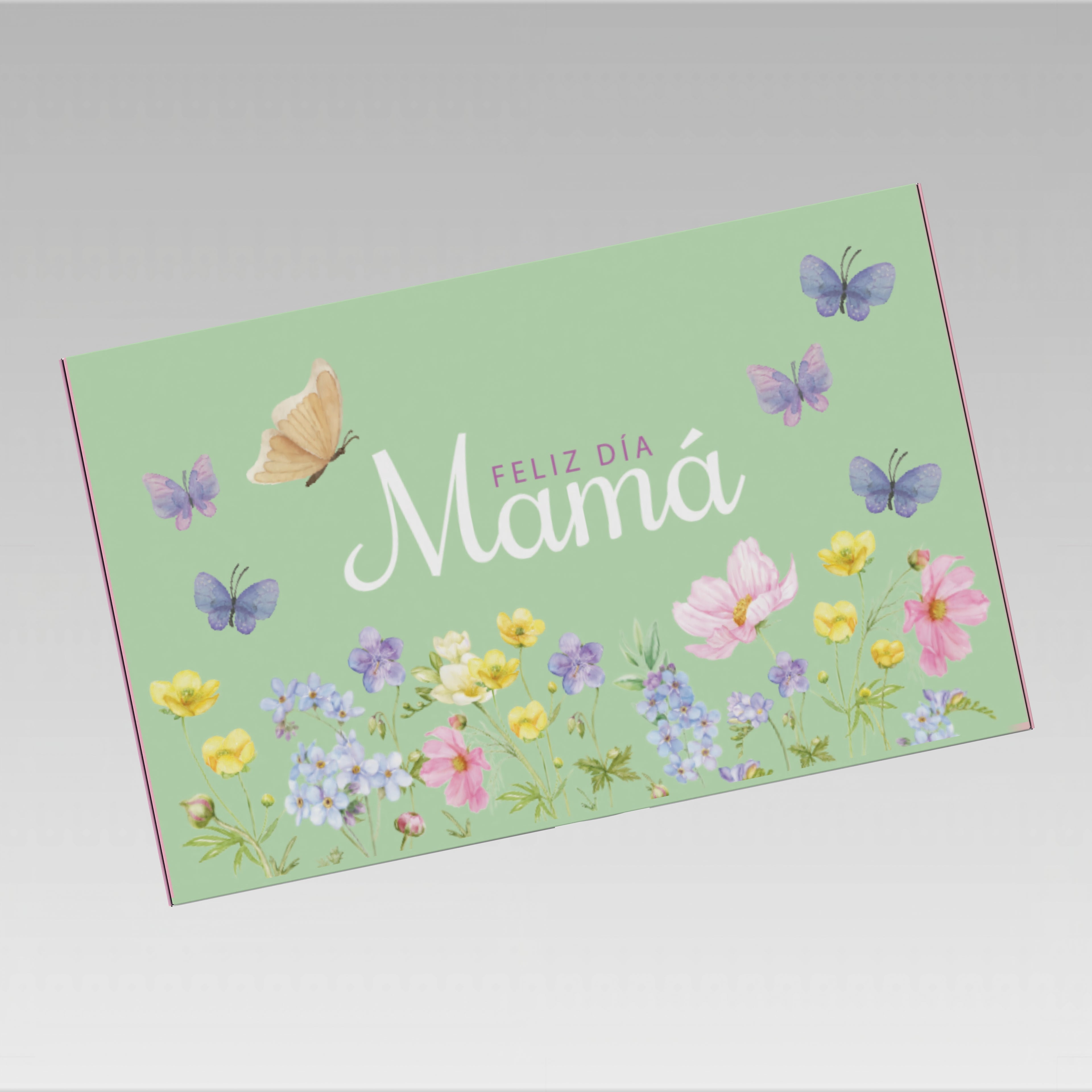 PREVENTA 3 Caja Mila mamá 30x19x9 cm 10 o 25 Unidades