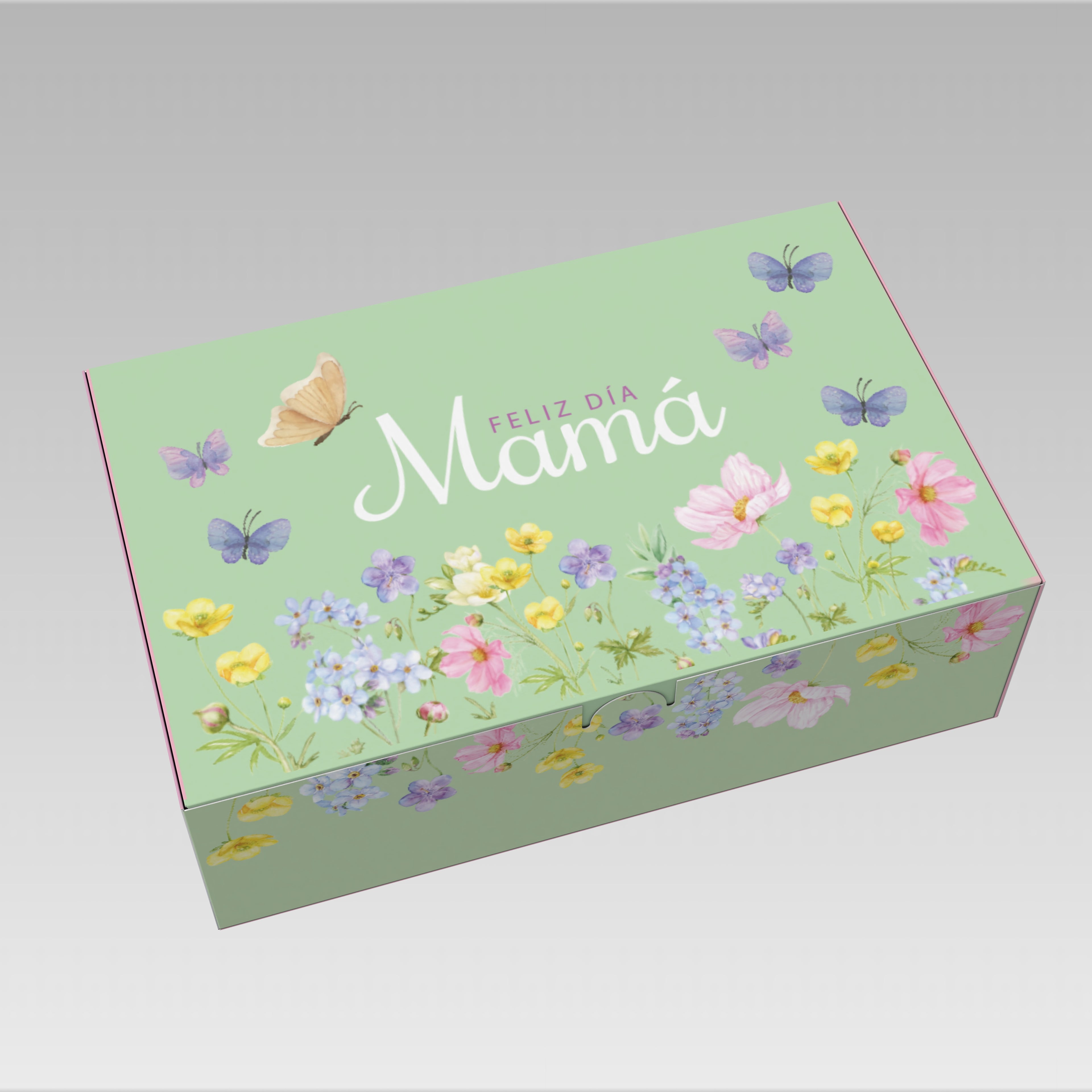 PREVENTA 3 Caja Mila mamá 30x19x9 cm 10 o 25 Unidades