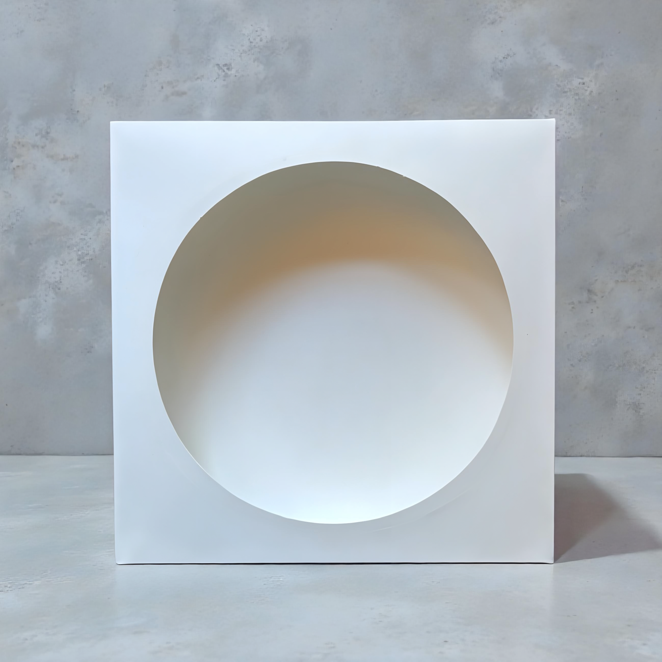 Caja blanca con visor 25x25x5.5 cm (5 Unidades)