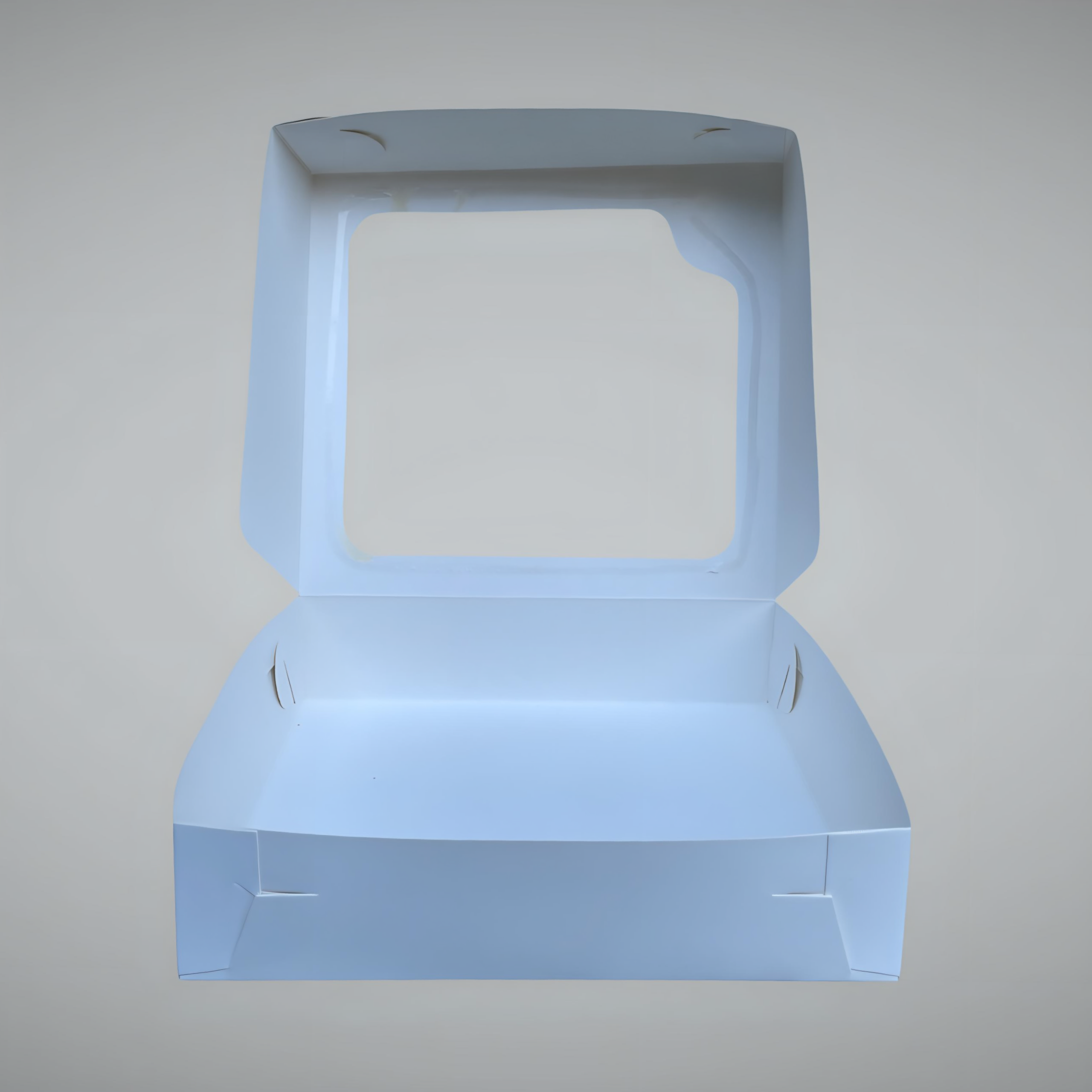 Caja blanca con visor 21x23x5.5 cm (5 Unidades)